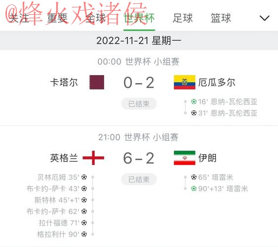 世界杯比分官网实时更新与分析